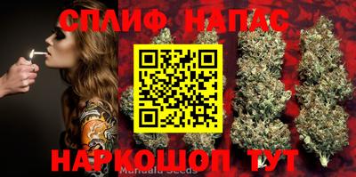 дживик Новокубанск