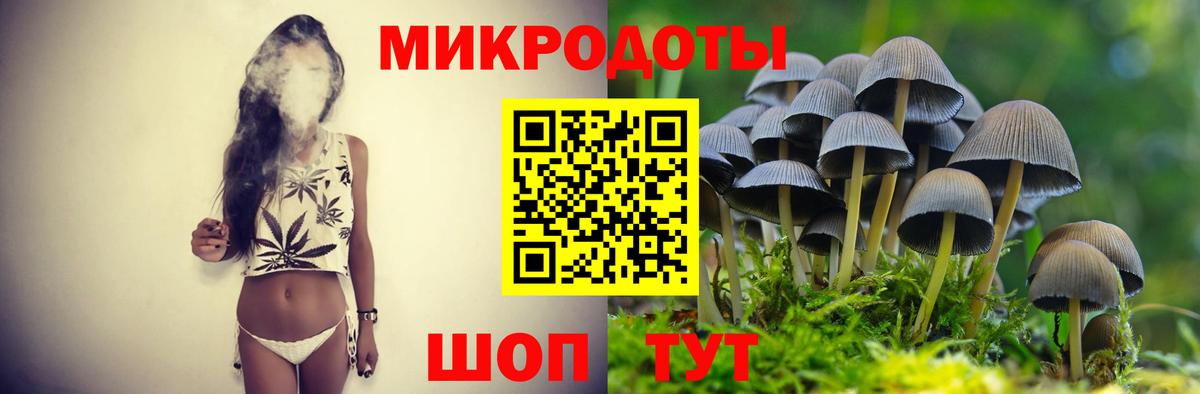 Галлюциногенные грибы Psilocybe Сосновоборск